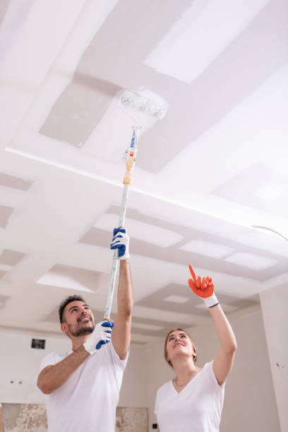 Best Touch-Up Painting  in Smith Center, KS